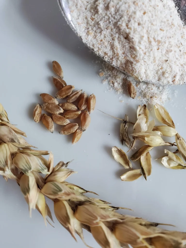 European flour